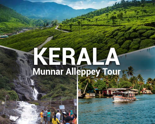 Kerala Munnar Alleppey Tour